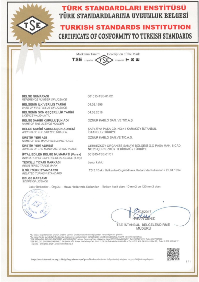 STRANDED COPPER TSE DOCUMENT