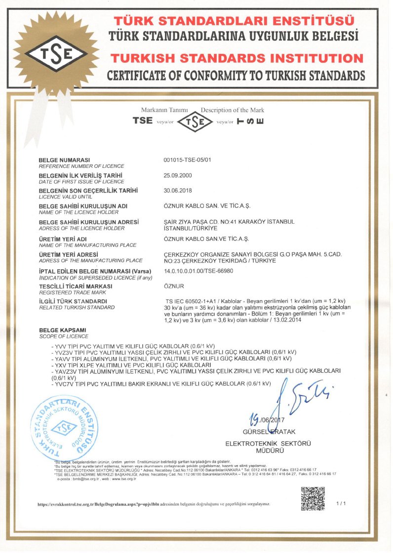 YVV(NYY)-YVZ3V-YAVV-YXV-YAVZ3V TSE CERTIFICATES