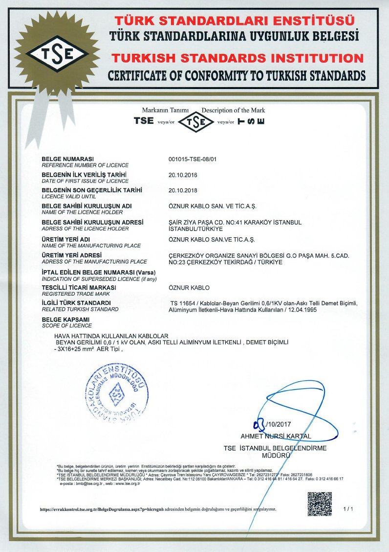 AER TSE CERTIFICATES