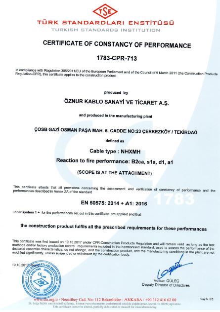 NHXMH B2ca, s1a, d1, a1 TSE CPR CERTIFICATES